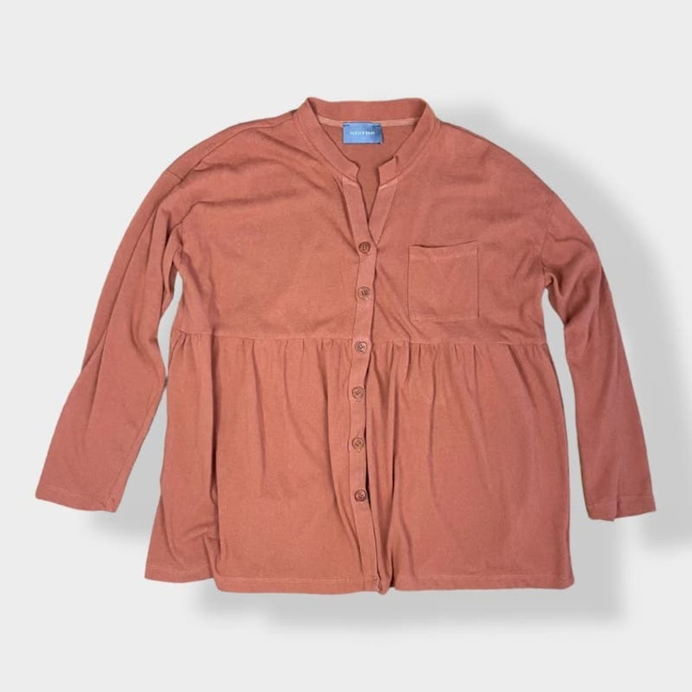Hudson Gray Button Up Blouse in Rust Size M